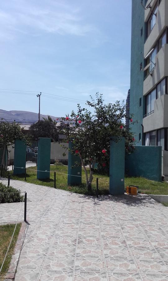 מלון איקוויקה Apartamento Jardin De La Rada מראה חיצוני תמונה